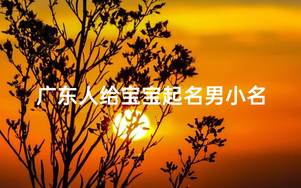 广东人给宝宝起名男小名字(给吉娃娃起粤语名)