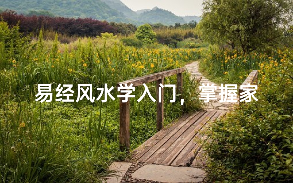 易经风水学入门,掌握家居布局的奥秘