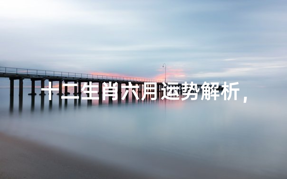 十二生肖六月运势解析,事业、财运、感情全方位预测