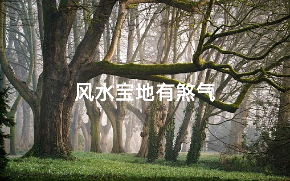 风水宝地有煞气