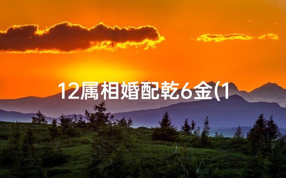12属相婚配乾6金(12生肖女最佳婚配,12生肖配对)