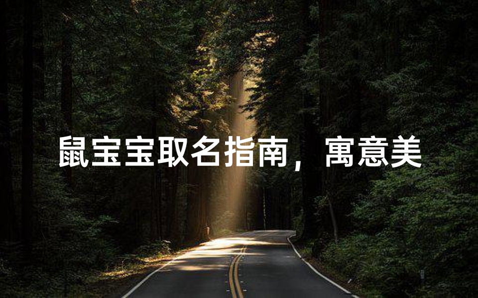 鼠宝宝取名指南,寓意美好与吉祥的名字推荐
