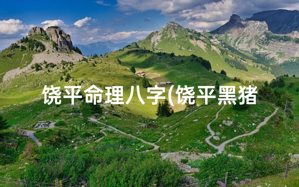 饶平命理八字(饶平黑猪品种特性)