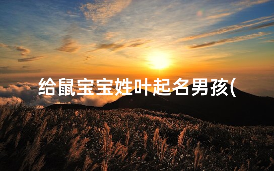 给鼠宝宝姓叶起名男孩(父姓余母姓叶2025年3月23日上午8点33分出生的男孩取名)