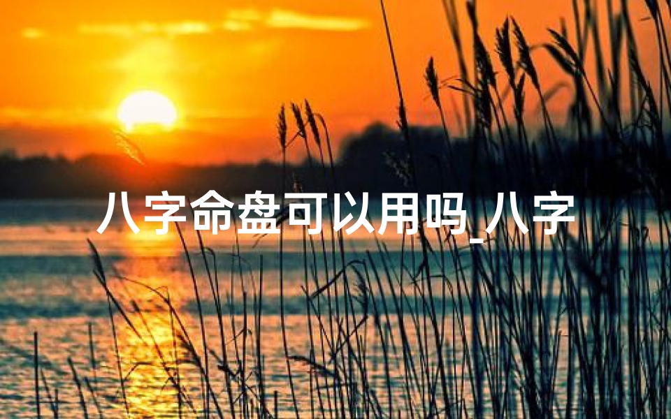 八字命盘可以用吗_八字命盘解读:揭秘命运与人生的奥秘