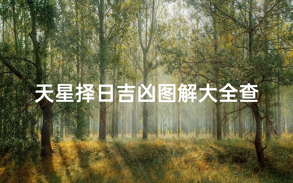天星择日吉凶图解大全查询-天星择日详解
