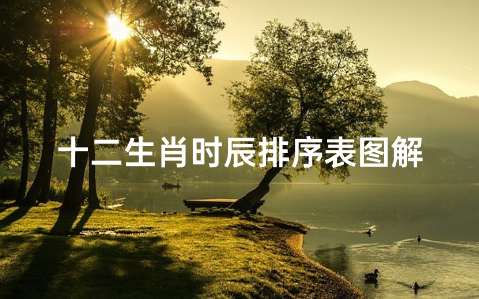 十二生肖时辰排序表图解(十二时辰对照表是什么)
