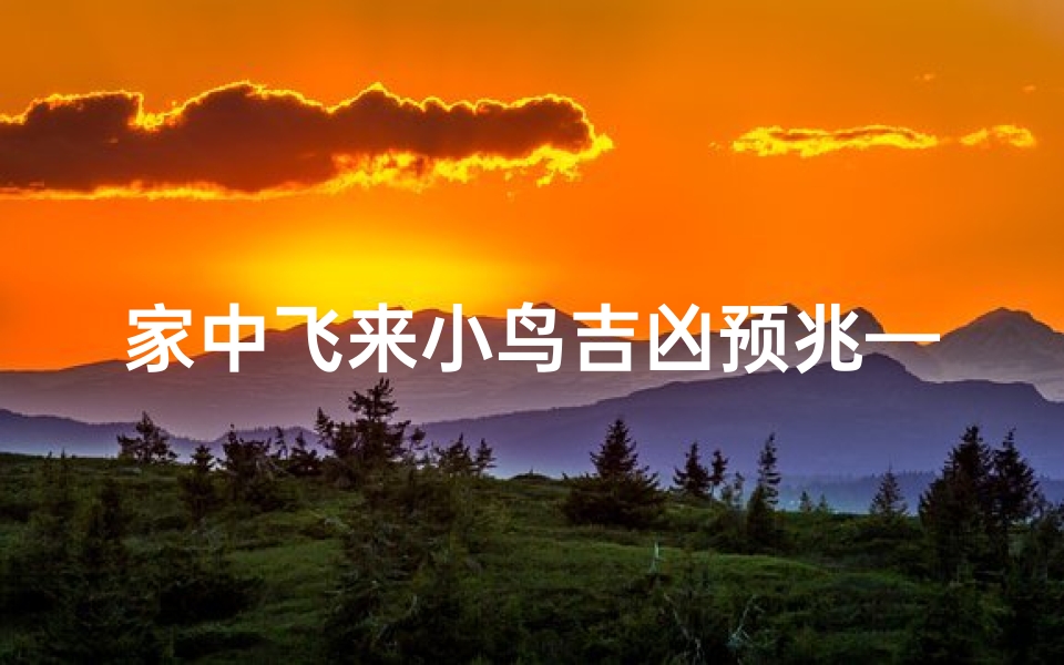 家中飞来小鸟吉凶预兆—家中小鸟飞来,吉凶预兆揭秘