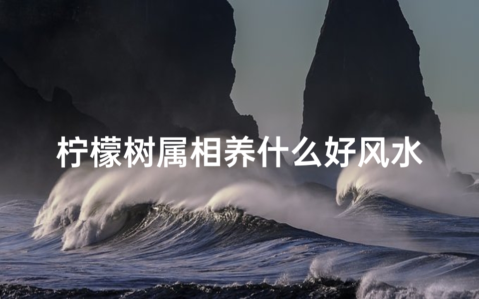 柠檬树属相养什么好风水(柠檬树的寓意与风水)