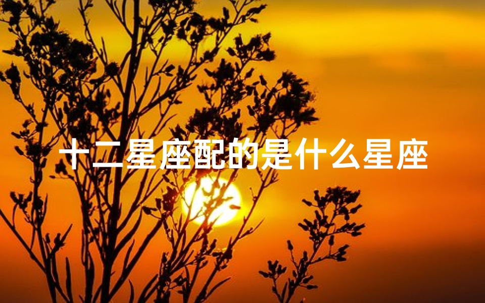 十二星座配的是什么星座(12星座最匹配的星座是哪一个)