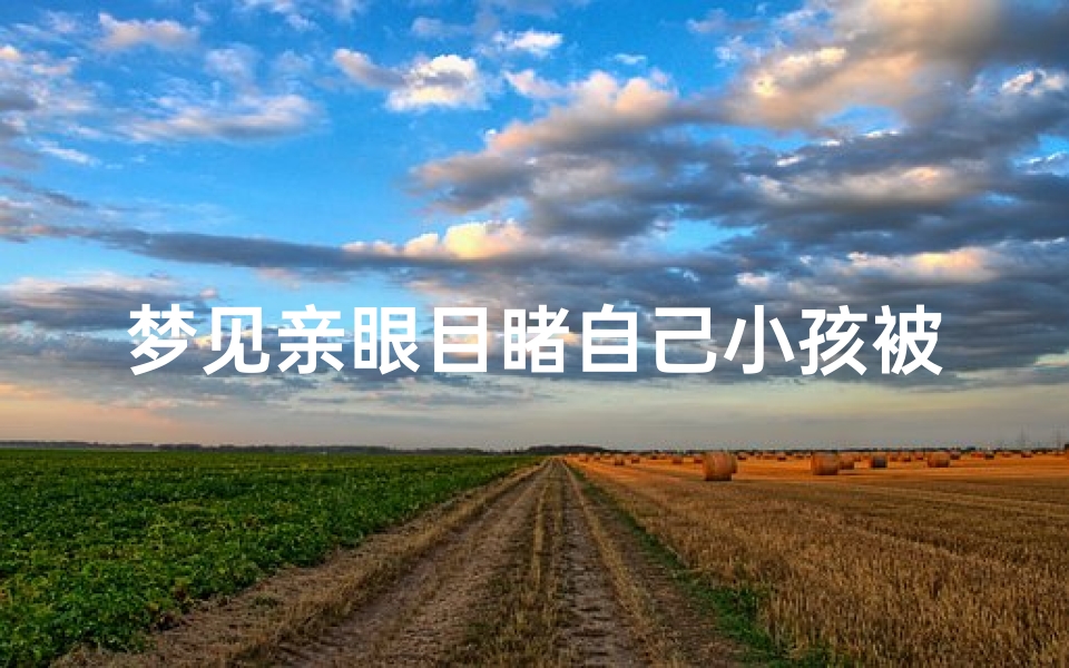 梦见亲眼目睹自己小孩被车压死了、梦见自家小孩被车压死了