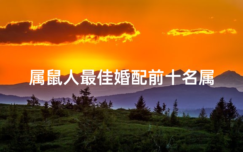 属鼠人最佳婚配前十名属相(2024属鼠人最佳婚配属相)