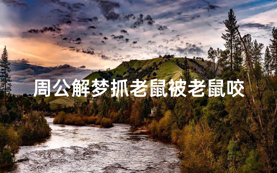 周公解梦抓老鼠被老鼠咬(梦见被老鼠咬手是什么意思 )