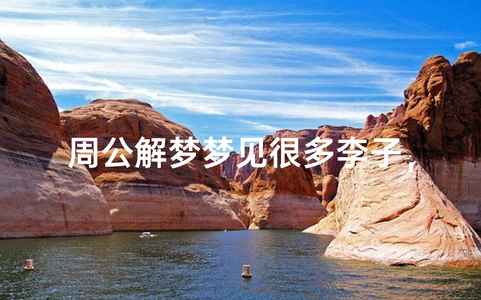 周公解梦梦见很多李子,梦境解析与心理暗示