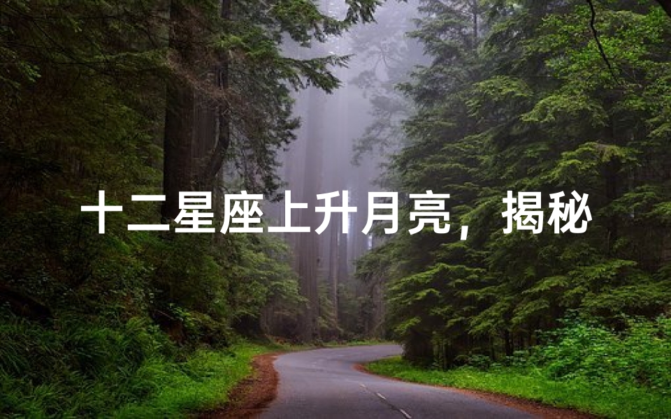 十二星座上升月亮,揭秘你的隐藏性格与命运轨迹