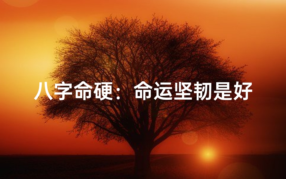 八字命硬:命运坚韧是好是坏?-海瑞算卦网