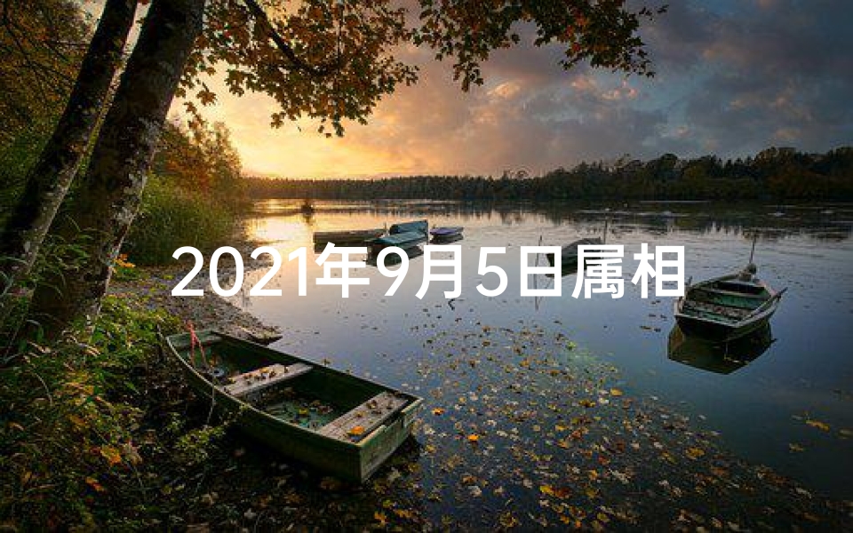 2021年9月5日属相运势_9月5日生肖运势:揭秘今日运势排行榜