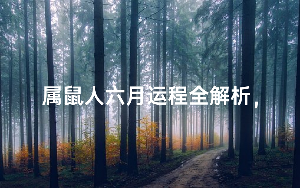 属鼠人六月运程全解析,事业财富发展指南