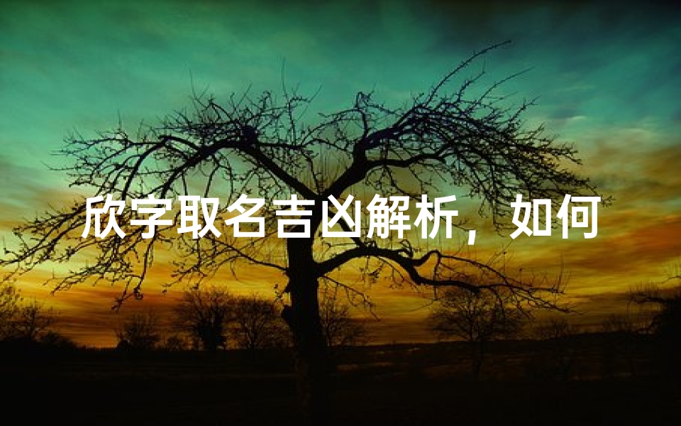 欣字取名吉凶解析,如何判断名字是否吉祥