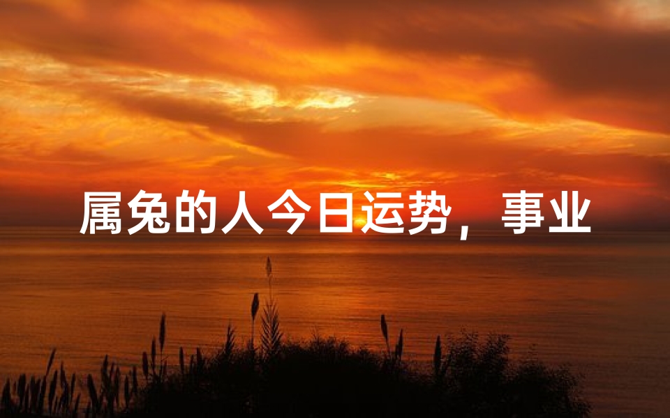 属兔的人今日运势,事业财运健康全解析