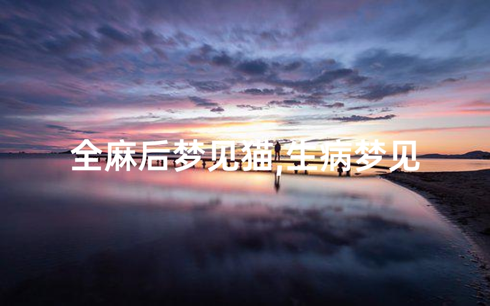 全麻后梦见猫,生病梦见猫