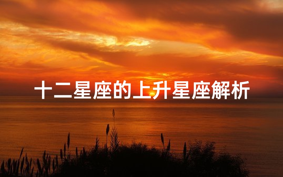 十二星座的上升星座解析(如何看自己的上升星座)