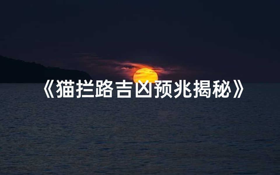 《猫拦路吉凶预兆揭秘》
