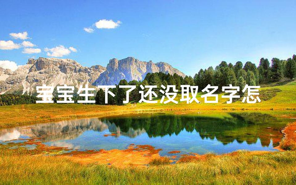 宝宝生下了还没取名字怎么办,宝宝降临未取名,急寻昵称好名字