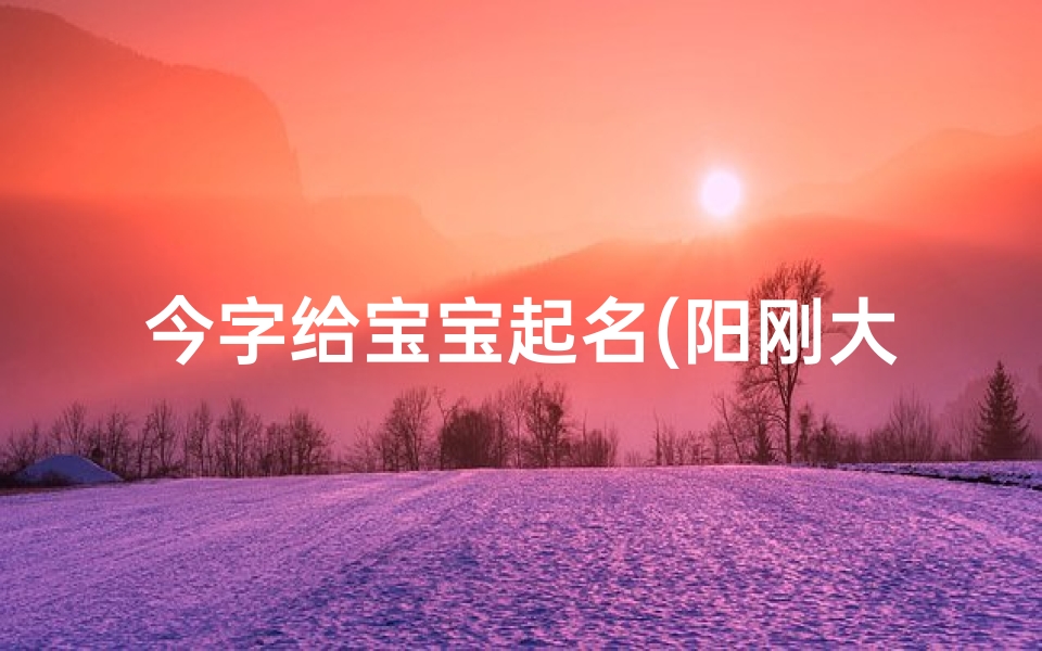 今字给宝宝起名(阳刚大气的男孩小名)