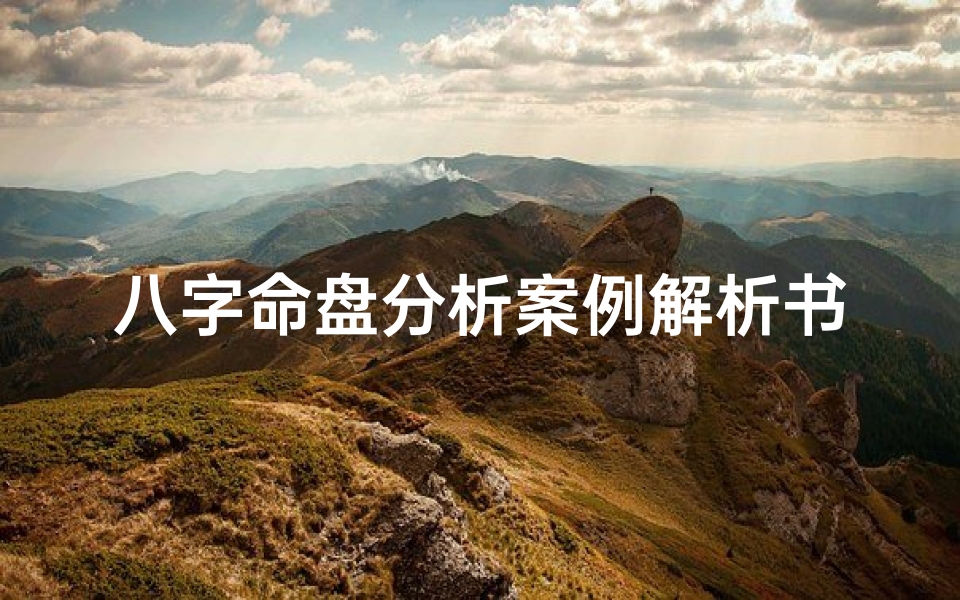 八字命盘分析案例解析书_八字命盘解析方法
