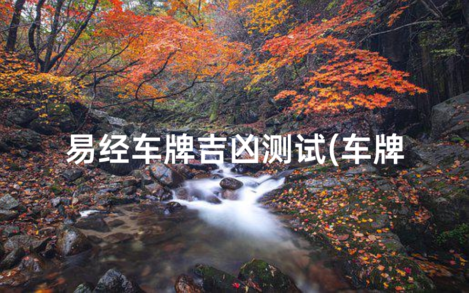 易经车牌吉凶测试(车牌号码测吉凶方法)