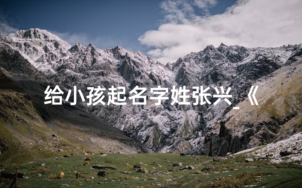 给小孩起名字姓张兴_《张兴:为宝宝挑选一个充满希望的名字》