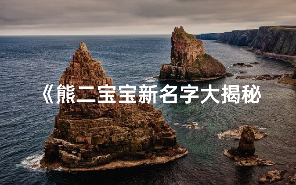 《熊二宝宝新名字大揭秘》