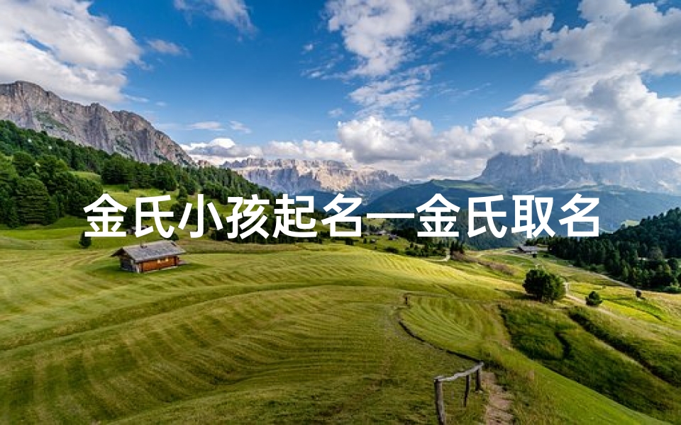 金氏小孩起名—金氏取名字