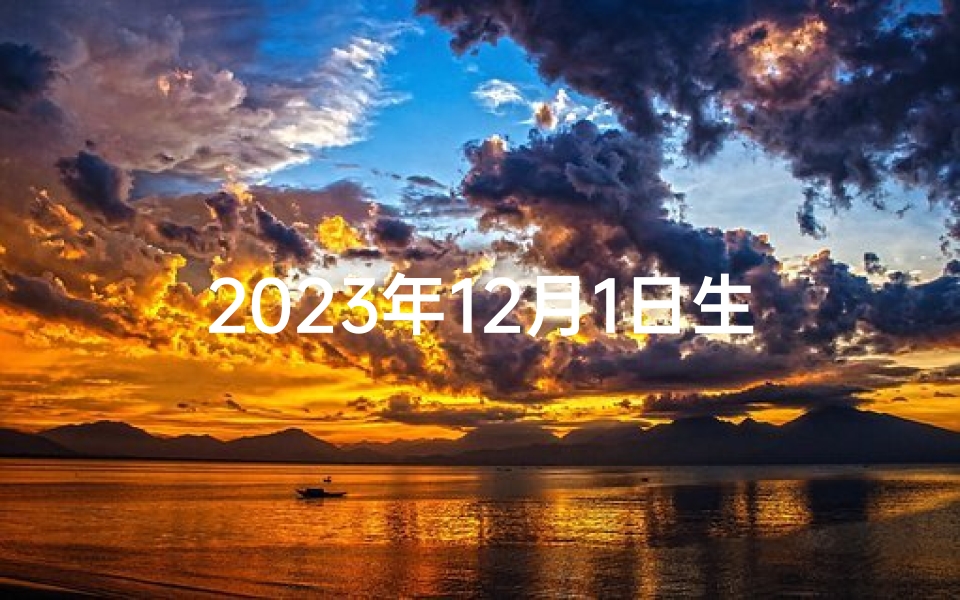 2023年12月1日生肖运势详解,助你把握每日吉凶