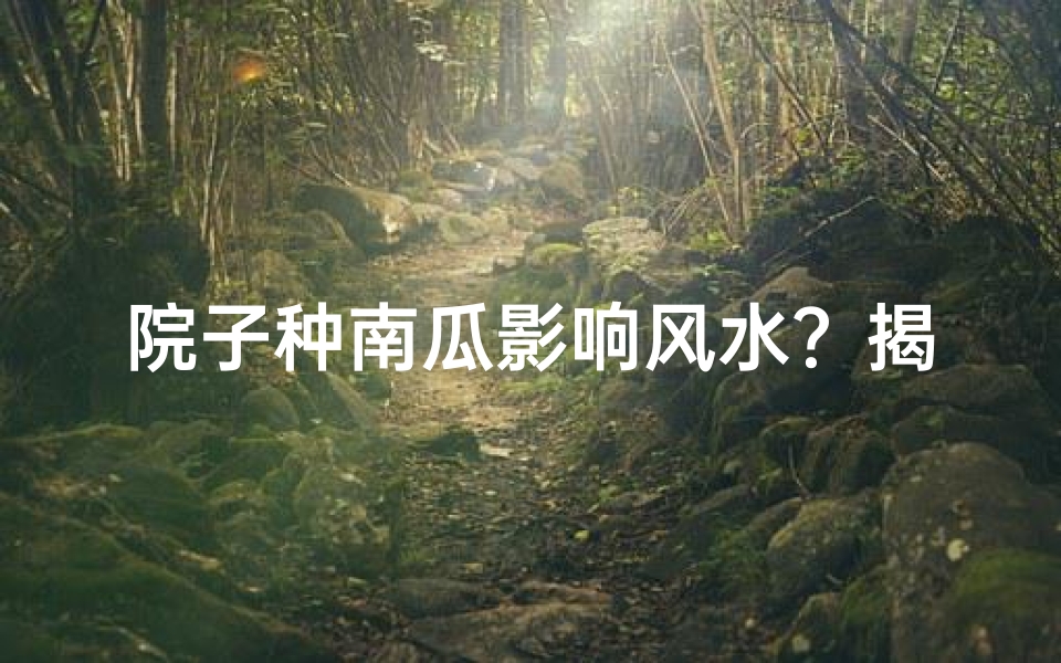 院子种南瓜影响风水?揭秘家居风水之谜