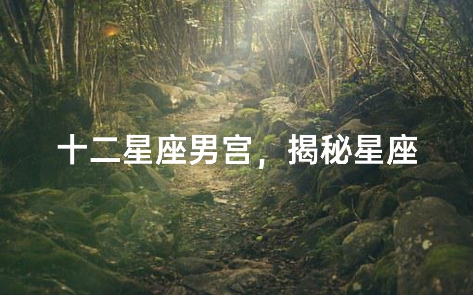 十二星座男宫,揭秘星座与男性性格的奥秘