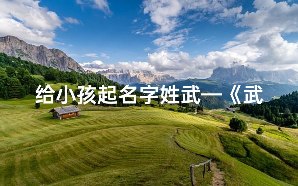 给小孩起名字姓武—《武姓宝宝起名:创意无限,寓意美好》