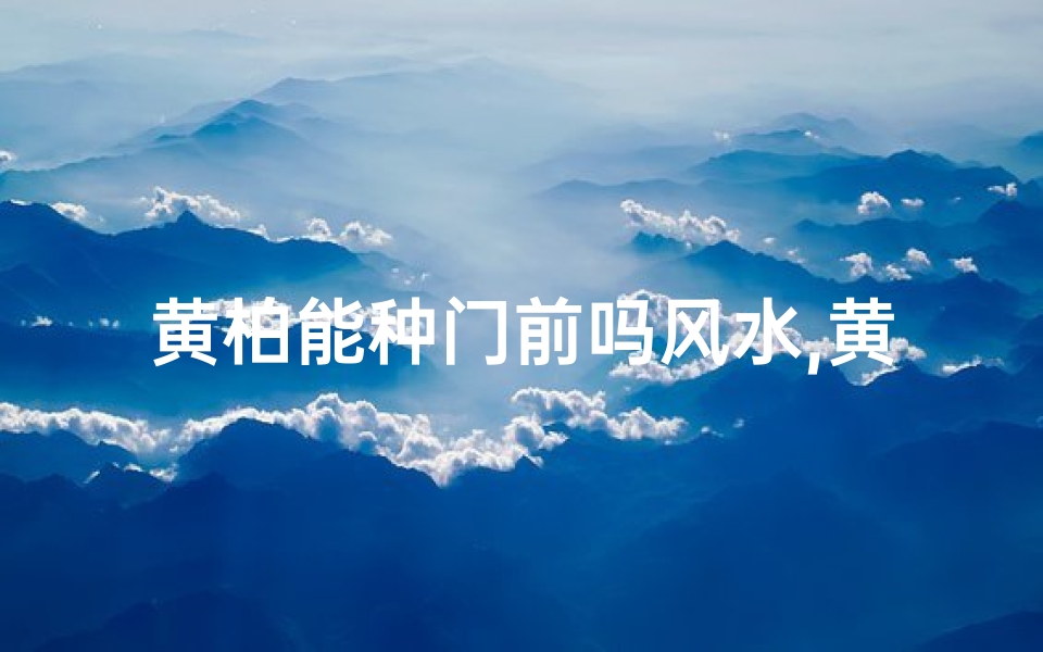 黄柏能种门前吗风水,黄柏能种门前吗风水好吗