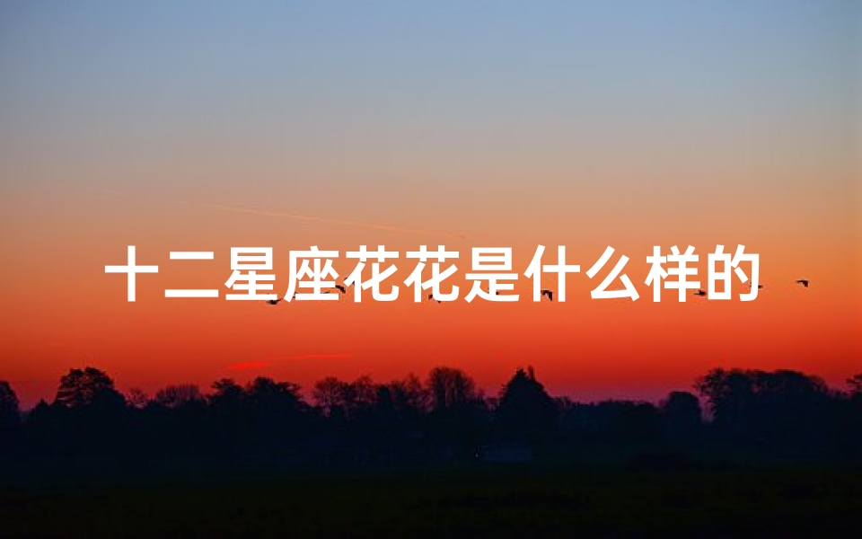 十二星座花花是什么样的(十二星座代表的花分别是什么 )