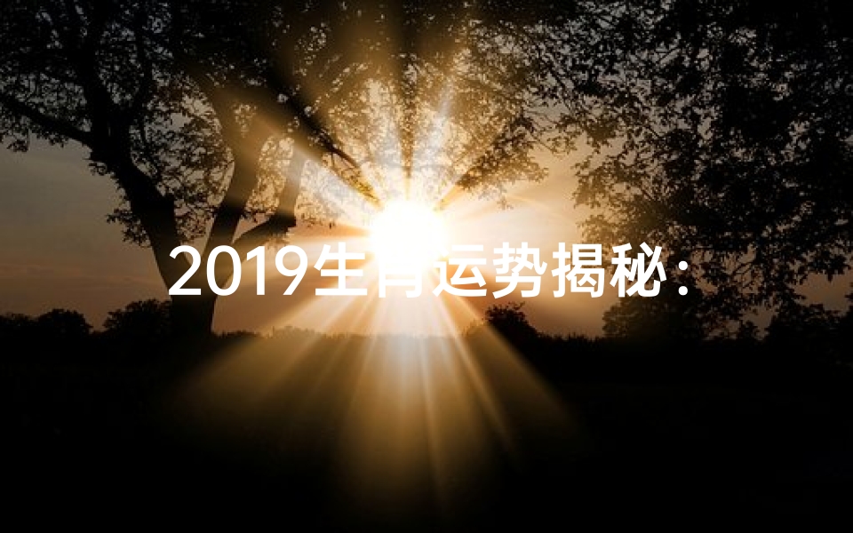 2019生肖运势揭秘:麦玲运势大解析