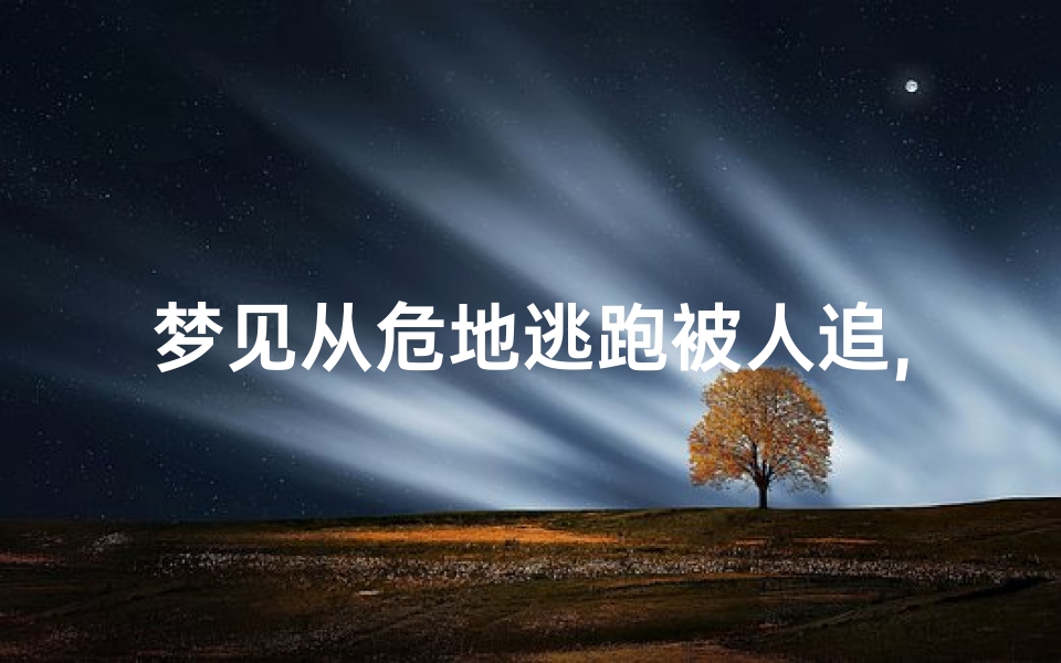梦见从危地逃跑被人追,梦见逃出来被人追