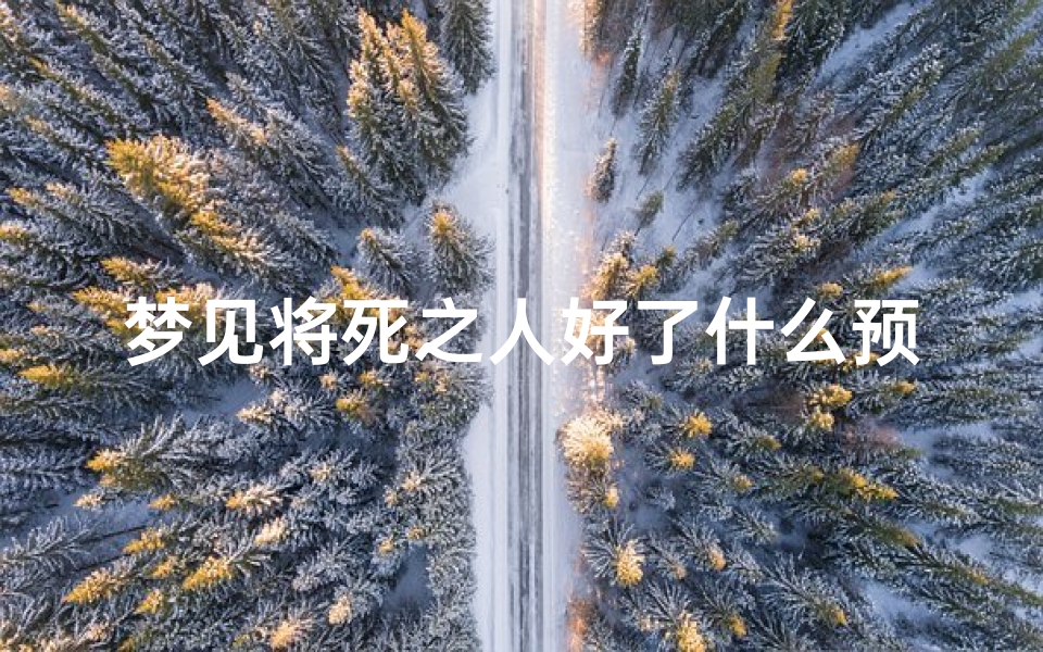 梦见将死之人好了什么预兆,梦到将死的人