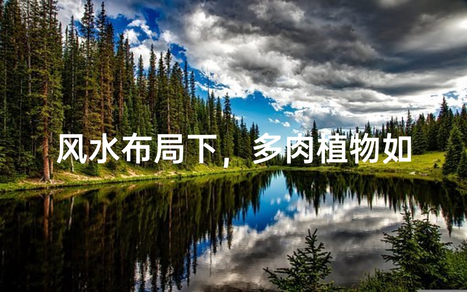 风水布局下,多肉植物如何养护更旺?