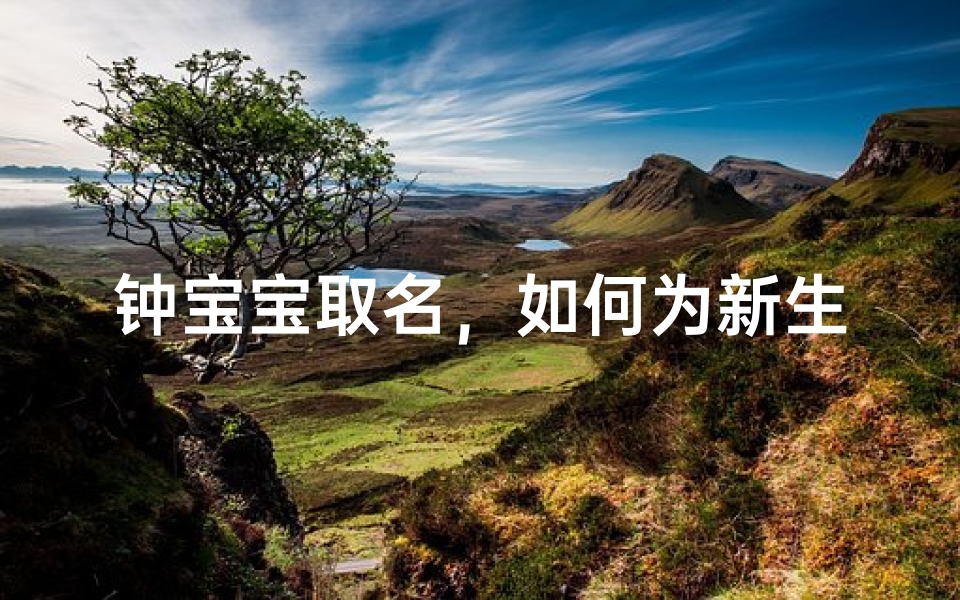 钟宝宝取名,如何为新生儿取一个寓意美好的名字