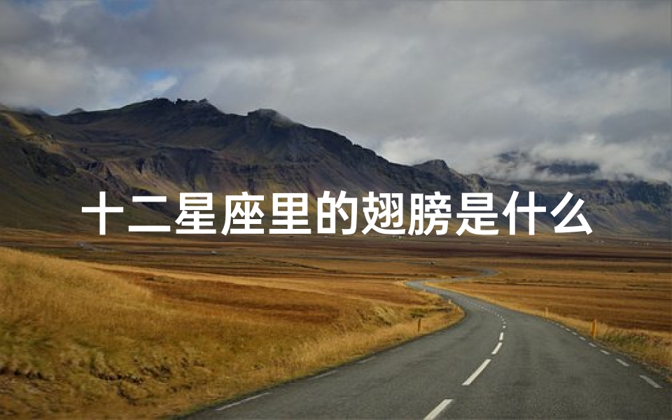 十二星座里的翅膀是什么(十二星座都代表什么翅膀 )