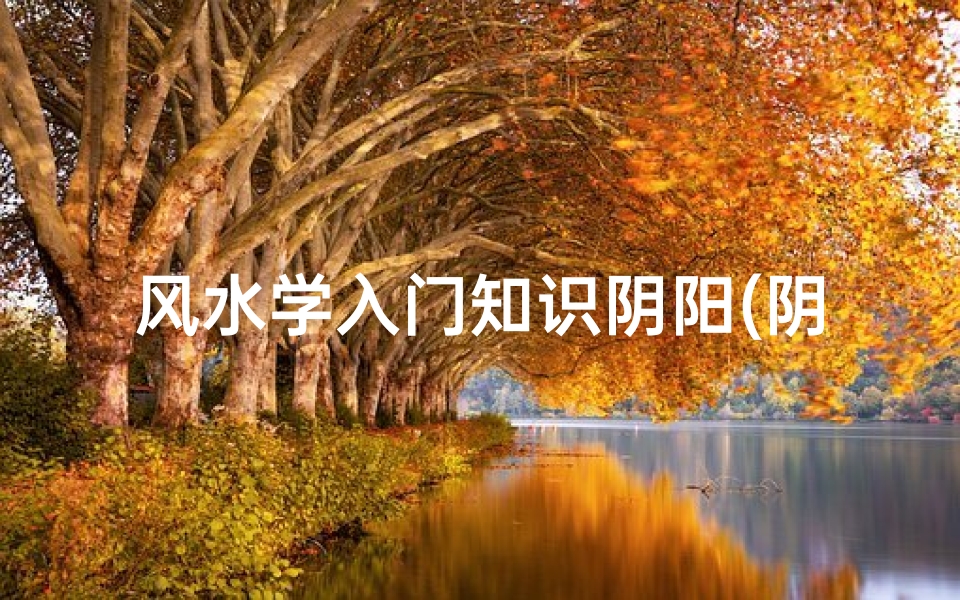 风水学入门知识阴阳(阴阳风水知识,什么叫阴阳风水 )