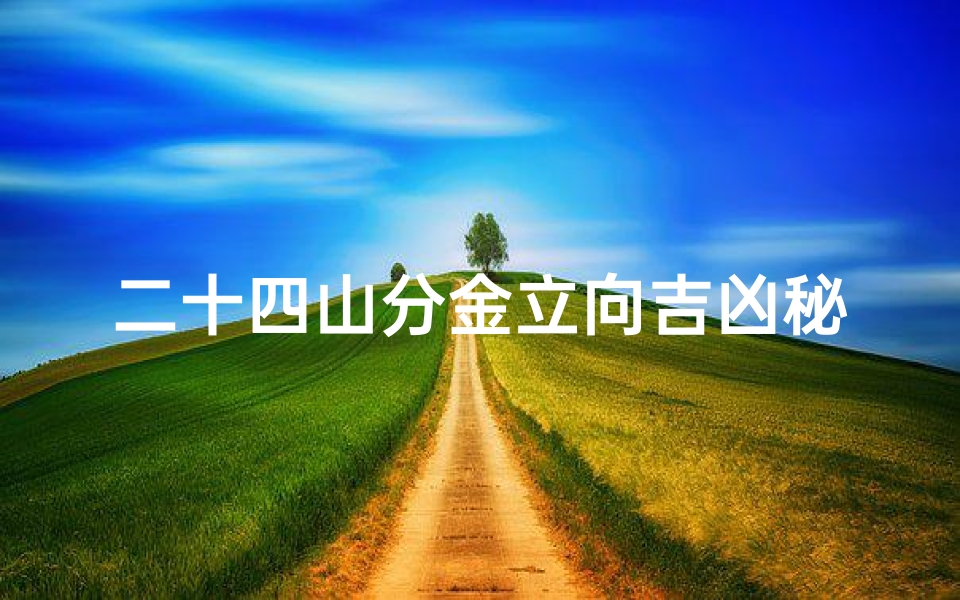 二十四山分金立向吉凶秘诀(《二十四山分金立向吉凶诀揭秘》)