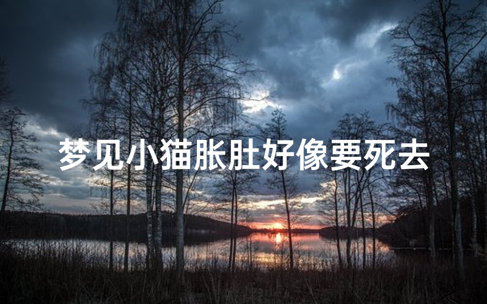 梦见小猫胀肚好像要死去-梦见小猫胀肚好像要死去的妈妈