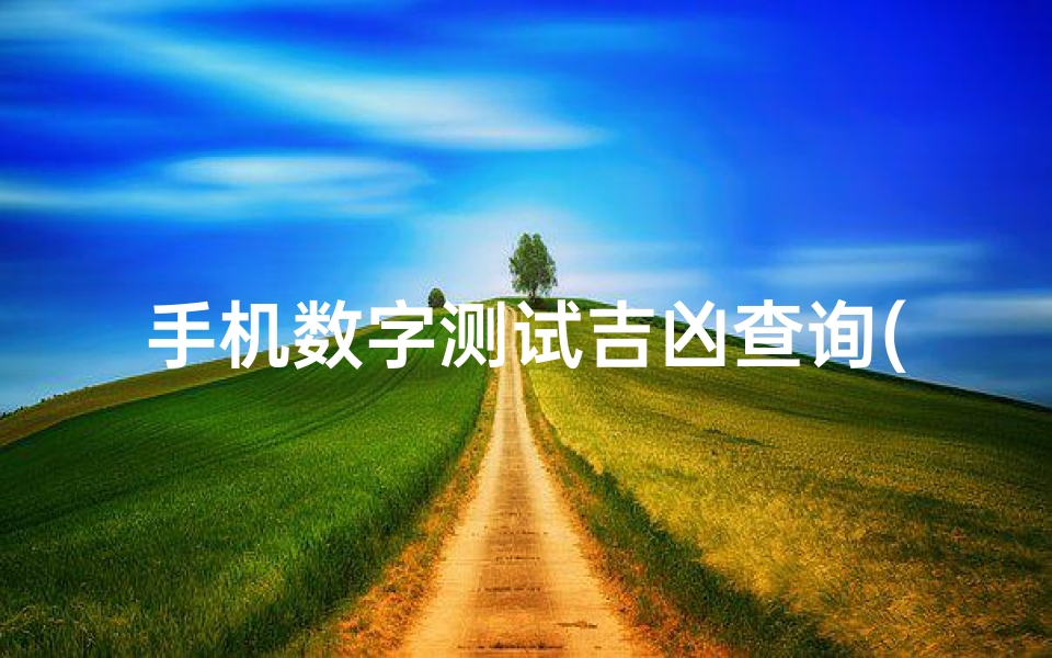 手机数字测试吉凶查询(数字号码测吉凶)